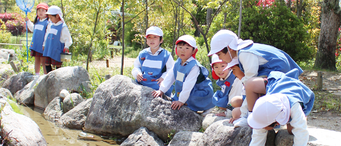 あおい幼稚園、桜あおい幼稚園ホームページ