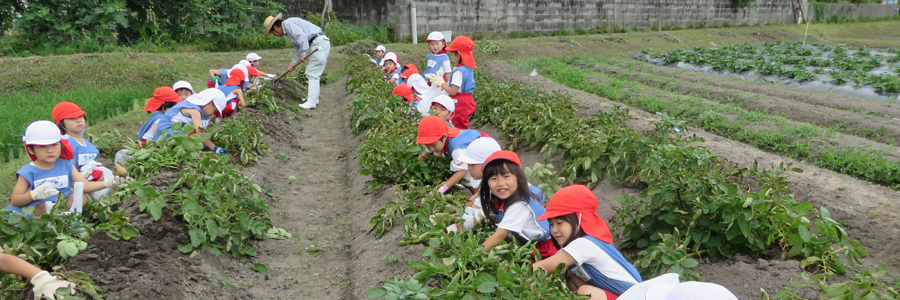 あおい幼稚園、桜あおい幼稚園ホームページ